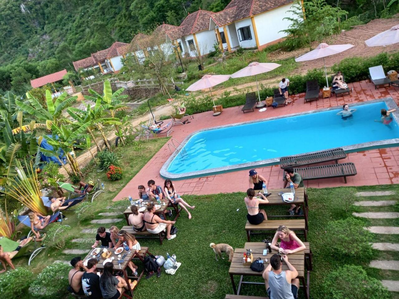 Auberge de jeunesse Backpackers -